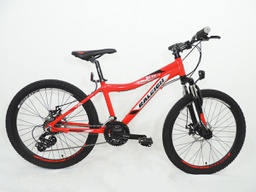 [BINSCOUT24] Bicicleta R24 Mtb Scout Niño - Raleigh